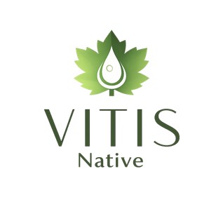 VITIS Native